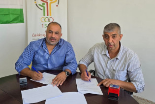 اتفاقية مورتيك